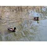 Zdjęcia użytkowników Xiaomi 12 Pro Zdjęcia użytkowników Xiaomi 12 Pro