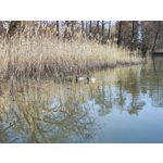 Zdjęcia użytkowników Xiaomi 12 Pro Zdjęcia użytkowników Xiaomi 12 Pro