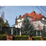 Zdjęcia użytkowników Xiaomi 12 Pro Zdjęcia użytkowników Xiaomi 12 Pro