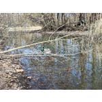 Zdjęcia użytkowników Xiaomi 12 Pro Zdjęcia użytkowników Xiaomi 12 Pro