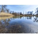 Zdjęcia użytkowników Xiaomi 12 Pro Zdjęcia użytkowników Xiaomi 12 Pro