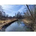 Zdjęcia użytkowników Xiaomi 12 Pro Zdjęcia użytkowników Xiaomi 12 Pro