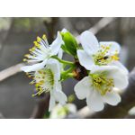 Zdjęcia użytkowników Xiaomi 12 Pro Zdjęcia użytkowników Xiaomi 12 Pro