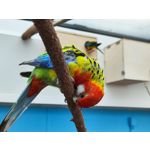 Zdjęcia użytkowników Xiaomi 12 Pro Zdjęcia użytkowników Xiaomi 12 Pro