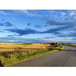 Zdjęcia użytkowników Xiaomi 12 Zdjęcia użytkowników Xiaomi 12