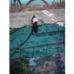 Zdjęcia użytkowników Xiaomi 12S Ultra