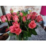 Zdjęcia użytkowników Xiaomi 12S Ultra