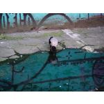 Zdjęcia użytkowników Xiaomi 12S Ultra