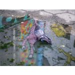 Zdjęcia użytkowników Xiaomi 12S Ultra