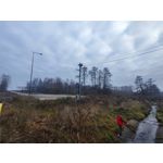 Zdjęcia użytkowników Xiaomi 12T Pro