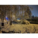 Zdjęcia użytkowników Xiaomi 12T Pro