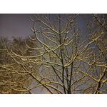 Zdjęcia użytkowników Xiaomi 12T Pro