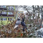 Zdjęcia użytkowników Xiaomi 12T Pro