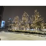 Zdjęcia użytkowników Xiaomi 12T Pro