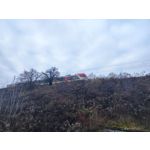 Zdjęcia użytkowników Xiaomi 12T Pro