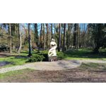 ZDJĘCIA Z TEGO TELEFONU