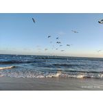 ZDJĘCIA Z TEGO TELEFONU