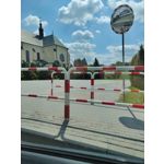 Zdjęcia użytkowników Xiaomi 12X