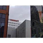 Zdjęcia użytkowników Xiaomi 13