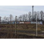 Zdjęcia użytkowników Xiaomi 13
