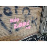 Zdjęcia użytkowników Xiaomi 14