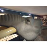 Zdjęcia użytkowników Xiaomi Hongmi 1S Zdjęcia użytkowników Xiaomi Hongmi 1S