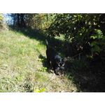 Zdjęcia użytkowników Xiaomi Hongmi 1S Zdjęcia użytkowników Xiaomi Hongmi 1S