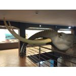 Zdjęcia użytkowników Xiaomi Hongmi 1S Zdjęcia użytkowników Xiaomi Hongmi 1S