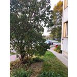 ZDJĘCIA Z TEGO TELEFONU ZDJĘCIA Z TEGO TELEFONU