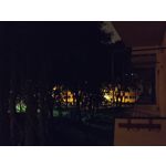 Zdjęcia użytkowników Xiaomi Mi 10 Lite