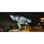 Zdjęcia użytkowników Xiaomi Mi 10T 5G