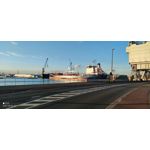 Zdjęcia użytkowników Xiaomi Mi 10T 5G