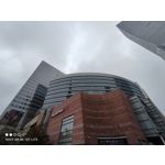 Zdjęcia użytkowników Xiaomi Mi 10T Lite