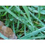 Zdjęcia użytkowników Xiaomi Mi 10T Pro 5G