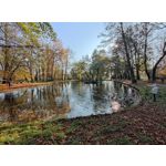 Zdjęcia użytkowników Xiaomi Mi 10T Pro 5G