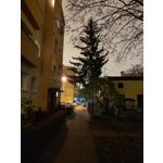 Zdjęcia użytkowników Xiaomi Mi 10T Pro 5G