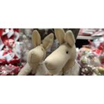 Zdjęcia użytkowników Xiaomi Mi 10T Pro 5G