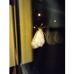 Zdjęcia użytkowników Xiaomi Mi 10T Pro 5G