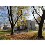 Zdjęcia użytkowników Xiaomi Mi 10T Pro 5G