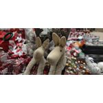 Zdjęcia użytkowników Xiaomi Mi 10T Pro 5G