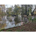 Zdjęcia użytkowników Xiaomi Mi 10T Pro 5G