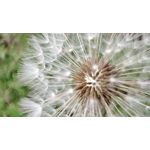 Zdjęcia użytkowników Xiaomi Mi 11 Lite Zdjęcia użytkowników Xiaomi Mi 11 Lite