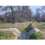 Zdjęcia użytkowników Xiaomi Mi 11 Ultra