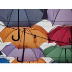 Zdjęcia użytkowników Xiaomi Mi 11 Ultra