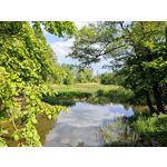 Zdjęcia użytkowników Xiaomi Mi 11 Ultra