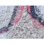 Zdjęcia użytkowników Xiaomi Mi 11 Ultra