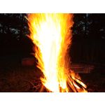 Zdjęcia użytkowników Xiaomi Mi 11 Ultra