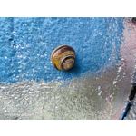 Zdjęcia użytkowników Xiaomi Mi 11 Ultra