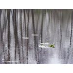 Zdjęcia użytkowników Xiaomi Mi 11 Ultra