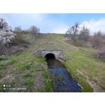 Zdjęcia użytkowników Xiaomi Mi 11 Ultra